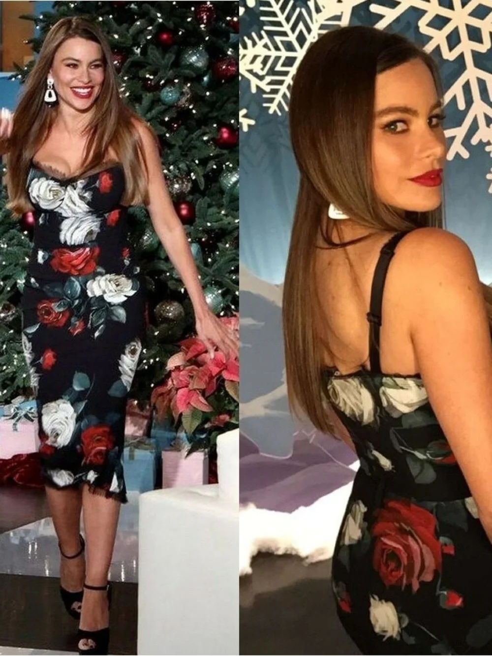 Dolce & Gabbana Black Floral Midi Dress with Red & White Roses - Picture 4 of 10